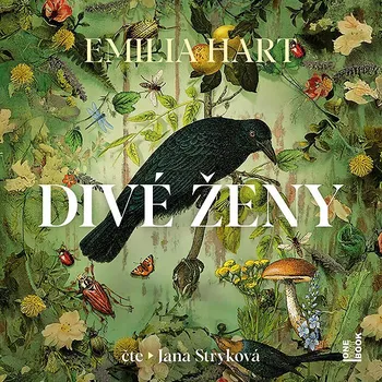 Divé ženy Audiokniha