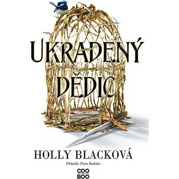 Kniha Ukradený dědic Ekniha