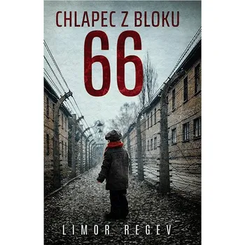 Kniha Chlapec z bloku 66 Ekniha