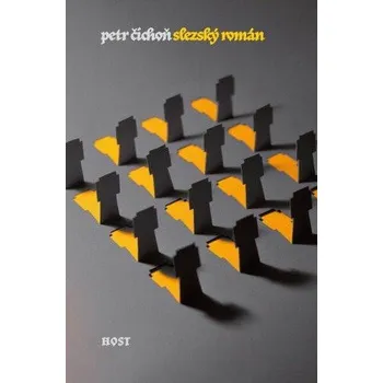 Kniha Slezský román Ekniha