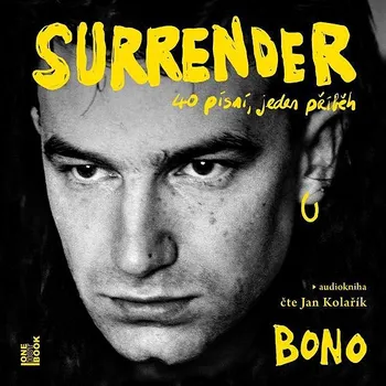 Surrender: 40 písní, jeden příběh Audiokniha