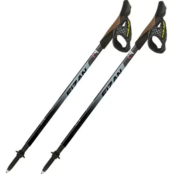 Trekingová hůl FIZAN Lite šedá