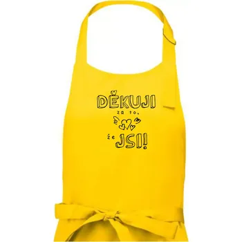 Kuchyňská zástěra Děkuji za to, že jsi - Pánská zástěra na vaření - Univerzální velikost ( Žlutá )