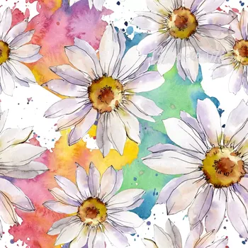 Úplet, Květy kopretin (E) (Top kvalitní úplet Bella digitisk)