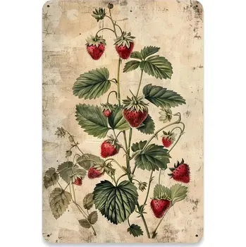 Plechová cedule BAF Nástěnná VINTAGE kovová cedule Lesní jahody. 20 x 30 cm