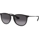 Ray-Ban Erika Classic RB4171 622/8G