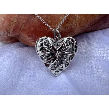 Náhrdelník Náhrdelník / nerezový řetízek s otevíracím medailonkem, barva platina