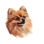 Moon River Německý špic samolepka se psem 5x4