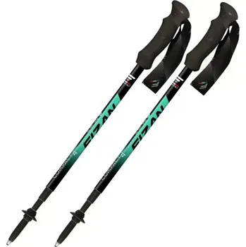 Trekingová hůl FIZAN Compact 4 zelená
