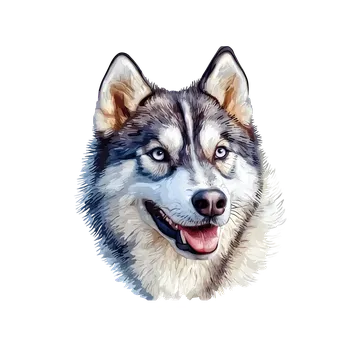 samolepka UV samolepka se psem Sibiřský husky 5x4 (UV samolepka s plemeny psů , plemena )