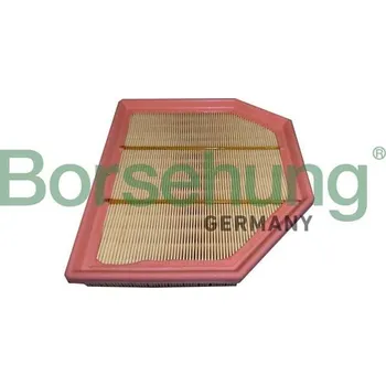 Vzduchový filtr Vzduchový filtr Borsehung B12455