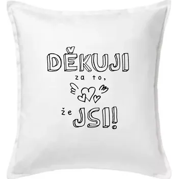 Polštář Děkuji za to, že jsi - Polštář 50x50 - 50x50 - Včetně výplně ( Bílá )