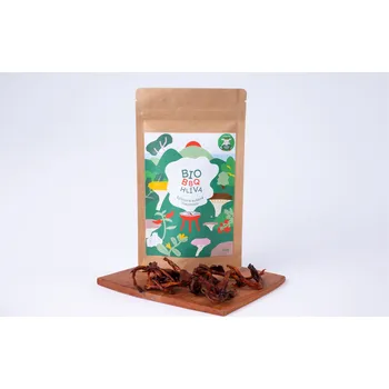 Sušená potravina Biofarma Mlsná koza Bio BBQ hlíva Balení: 30 g