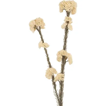 umělá květina Clayre & Eef - Umělá květina 6PL0399W