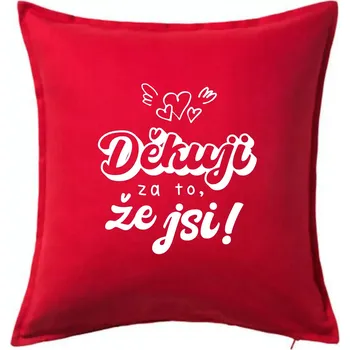Polštář Psací děkuji za to, že jsi - Polštář 50x50 - 50x50 - Pouze potah ( Červená )