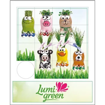 Hlavolam Hlavolam- dětská skládačka s logem Lumigreen