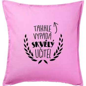 Polštář Takhle vypadá skvělý učitel - Polštář 50x50 - 50x50 - Pouze potah ( Růžová )