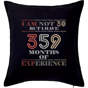 Polštář 30 years 359 months of experience - Polštář 50x50 - 50x50 - Pouze potah ( Černá )