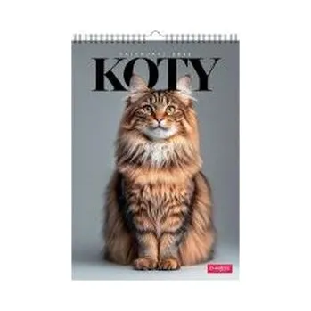 Kalendář Kalendarz 2026 A3 wieloplanszowy Koty