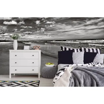 Fototapeta DIMEX | Samolepicí vliesová fototapeta na zeď Moře MA-5-3119 | 375 x 250 cm | bílá, černá + Samolepicí vliesová fototapeta na stěnu DIMEX Moře MA53119 v rozměru 375 x 250 cm