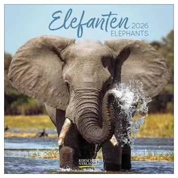 Elefanten 2026 - Korsch Verlag