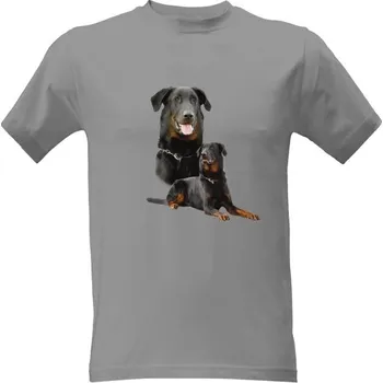 Tričko s potiskem Bauceron pánské