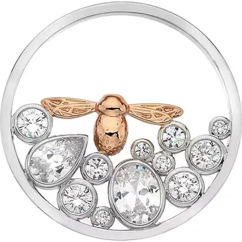Přívěsek Přívěsek Hot Diamonds Emozioni RG Coin EC500-501 Průměr 25 mm