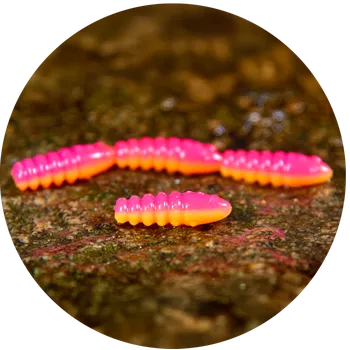 Umělá nástraha RedBass Gumová Nástraha Trout Grub Tutti Frutti UV COLOR - 3x25 mm