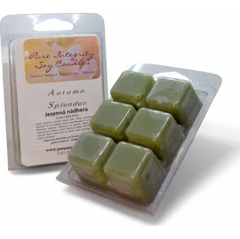 vonný vosk Pure Integrity USA Vonný sójový vosk PODZIMNÍ NÁDHERA 3,5oz (103g)