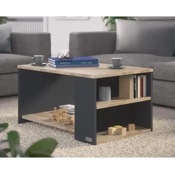 Konferenční stolek Konferenční stolek Santa Cruz 90x60x50cm | Dřevěný / Šedý