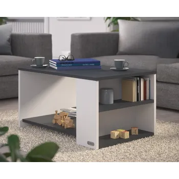 Konferenční stolek Konferenční stolek Santa Cruz 90x60x50cm | Bílá / Antracitová