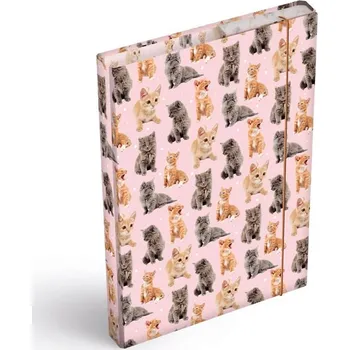 desky na sešit MFP Box na sešity A5 Kočky