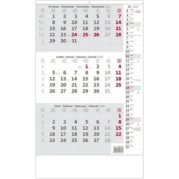 Kalendář Tříměsíční kalendář 2026 - poznámkový, šedý