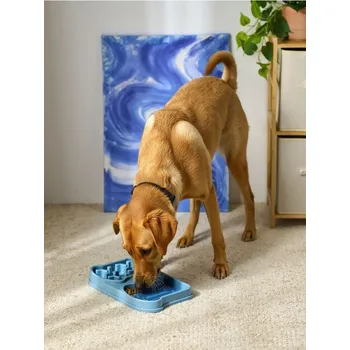 Miska pro psa Sinsay - Miska pro zvířata - modrá - 893FB-05X - 893FB-05X-ONE