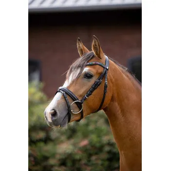 Uzdečka HORZE Rainbow Pony Černá SHETLAND