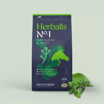 Krmivo pro koně Pamlsky HILTON HERBS Herballs Oregano & mint 2 kg