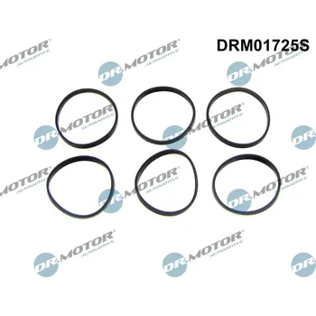 Automobilové těsnění Sada těsnění, koleno sacího potrubí Dr.Motor Automotive DRM01725S