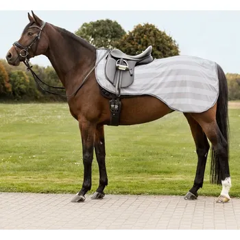 Deka pro koně Síťovaná bederní deka WALDHAUSEN Economic Stříbrno-šedá PONY