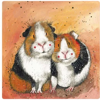 Dekorativní magnet Magnetka Alex Clark Guinea pigs, Morčátka (Dekorační magnet s morčetem)