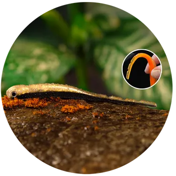 Umělá nástraha Redbass Smáček Big Snake Bass - 20 cm 24,5 g