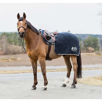 Deka pro koně Bederní deka Bvertigo Concord 135-140cm