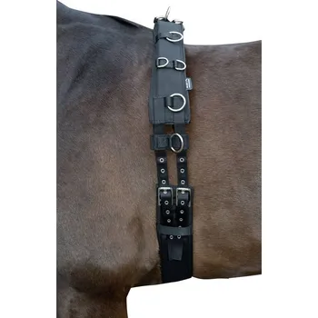 Jezdectví Lonžovací obřišník podložený softoprenem PONY