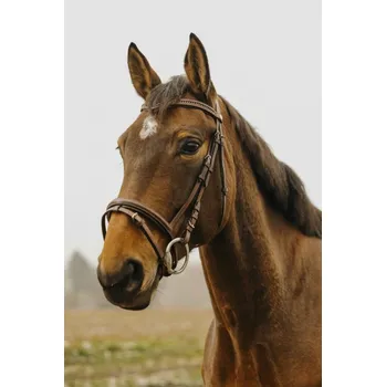 Uzdečka NORTON CLUB STRASS V Hnědá COB