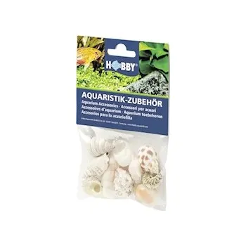 HOBBY mušle Sea Shells Set M, 10ks v balení