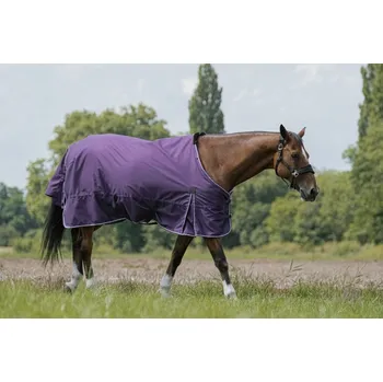 Deka pro koně Výběhová nepromokavá deka EQUITHÈME TYREX Aisance 600D 50g Plum 165 cm (215)