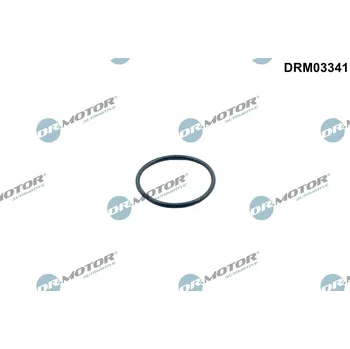 Automobilové těsnění Těsnění, termostat Dr.Motor Automotive DRM03341
