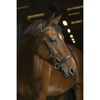 Bezudidlová uzdečka NORTON PRO Confort Havana COB
