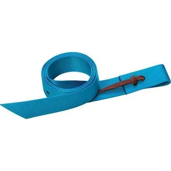 Jezdectví Dotahovací řemen pro westernové sedlo dlouhý WEAVER 1-3/4" x 60" Tyrkysová
