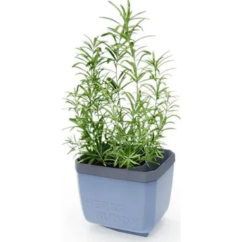 Sazenice Gusta Garden HERBS BUDDY samozavlažovací, modrý