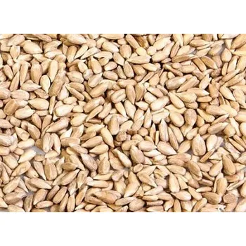 FABIO Slunečnicové semínko loupané 500 g